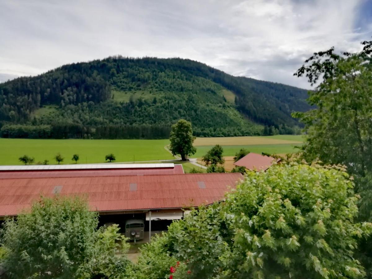 Ferienwohnung Erni Фельдкирхен  Экстерьер фото
